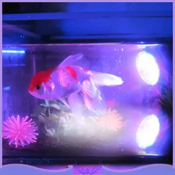 36LED Color Changing in sequence Submersible Aquarium Spot Light Fish Tank Garden Fountain Pool Landscape Lamp US Plug 2 Size
36LED Color Changing in sequence Submersible Aquarium Spot Light Fish Tank Garden Fountain Pool Landscape Lamp US Plug 2 Size