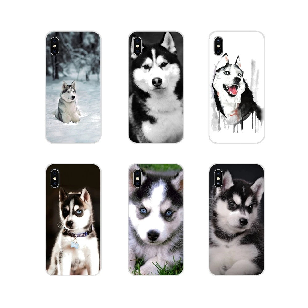 Accessories Phone Cases Covers Husky cute Puppy Dog For Samsung Galaxy A3 A5 A7 A9 A8 Star A6 Plus 2018 2015 2016 2017 | Мобильные
