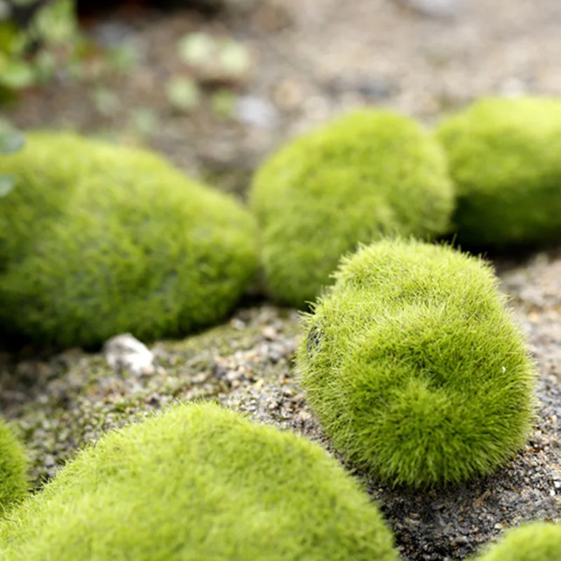 Green Artificial moss stone Fuzzy Micro Landscape 3/6/8CM DIY Accessories Home Rock Flocking
Green Artificial moss stone Fuzzy Micro Landscape 3/6/8CM DIY Accessories Home Rock Flocking