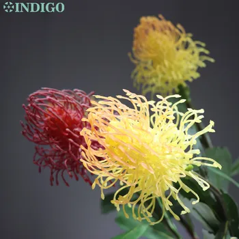 5pcs Yellow Leucospermum Cordifolium Hydrangea Nutans Flower Wedding Flower Floral Event Party Table Flower Free Shipping
5pcs Yellow Leucospermum Cordifolium Hydrangea Nutans Flower Wedding Flower Floral Event Party Table Flower Free Shipping