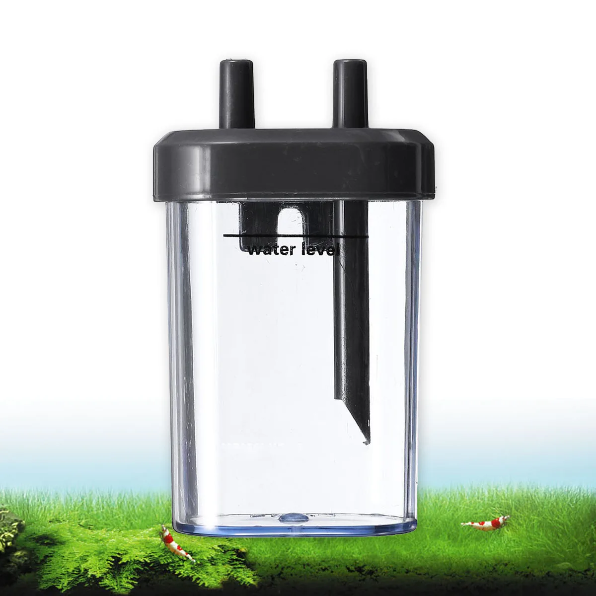 Protable Clear Mini Aquarium DIY Sucker CO2 Bubble Counter System Diffuser Plant Plastic Aquarium Fish Tank Acquario Accessories
Protable Clear Mini Aquarium DIY Sucker CO2 Bubble Counter System Diffuser Plant Plastic Aquarium Fish Tank Acquario Accessories