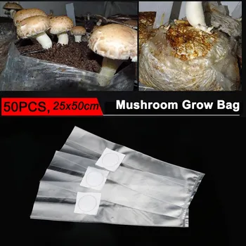 Behogar 50pcs Mushroom Spawn Growing Bags 0.2 Micron Filter Breathable 6 Mil Edible Fungus Cultivation Bags Garden Planting Tool
Behogar 50pcs Mushroom Spawn Growing Bags 0.2 Micron Filter Breathable 6 Mil Edible Fungus Cultivation Bags Garden Planting Tool