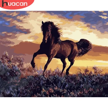 HUACAN DIY Pictures By Number Animal Kits Home Decoration Painting By Number Horse Drawing On Canvas HandPainted Art Gift
HUACAN DIY Pictures By Number Animal Kits Home Decoration Painting By Number Horse Drawing On Canvas HandPainted Art Gift