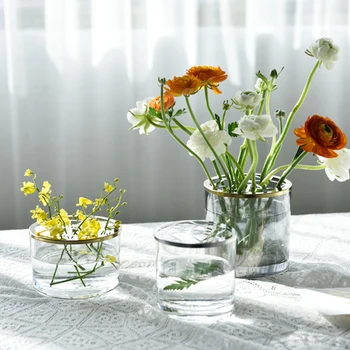 TRANSPARENT HYDROPONIC GLASS VASE NORDIC DECORATION HOME VASES FOR FLOWERS LIVING ROOM DECORATION TERRARIUM HOME DECOR FLOWER
TRANSPARENT HYDROPONIC GLASS VASE NORDIC DECORATION HOME VASES FOR FLOWERS LIVING ROOM DECORATION TERRARIUM HOME DECOR FLOWER