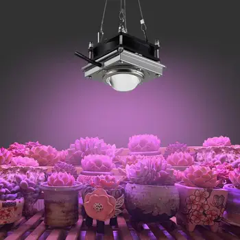 50W COB Plant Growth Light Full Spectrum Greenhouse Vegetables Succulent Seedling Flower Grow LED Light Garden Supplies NEW
50W COB Plant Growth Light Full Spectrum Greenhouse Vegetables Succulent Seedling Flower Grow LED Light Garden Supplies NEW