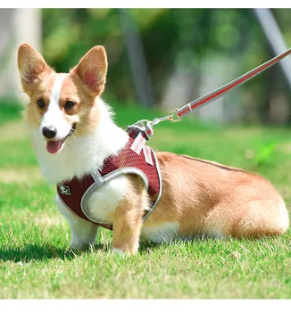 Dog Leash Set Harness Vest Chest Strap Reflective Breathable Mesh Back Adjustable Size Button Nylon line
Dog Leash Set Harness Vest Chest Strap Reflective Breathable Mesh Back Adjustable Size Button Nylon line