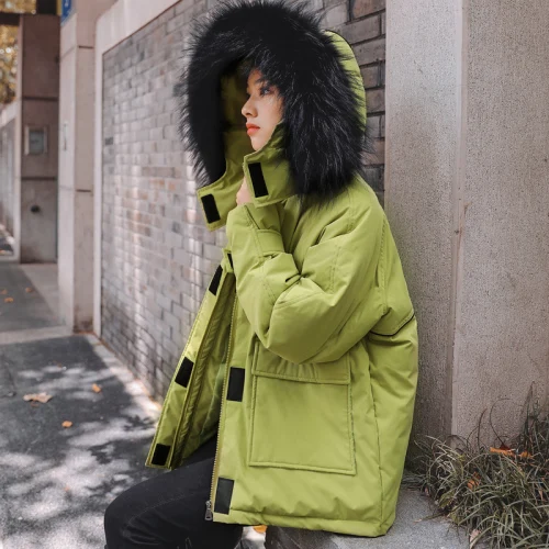 2019 Winter New Popular Wind Pure Color Female Cotton Padded Clothes Thicken Keep Warm Yellow Simple Loose Women Leisure Parkas
2019 Winter New Popular Wind Pure Color Female Cotton Padded Clothes Thicken Keep Warm Yellow Simple Loose Women Leisure Parkas