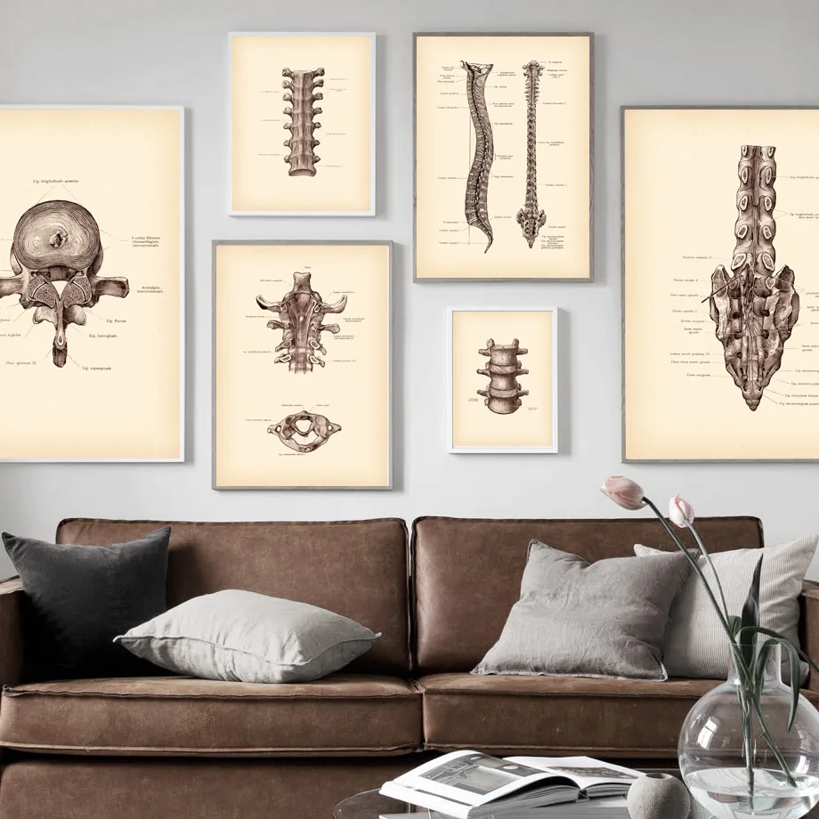 Human Anatomy Artwork Medical Wall Art Picture Skeleton Nordic Vintage Posters And Prints Education Retro Canvas Painting Decor 
Human Anatomy Artwork Medical Wall Art Picture Skeleton Nordic Vintage Posters And Prints Education Retro Canvas Painting Decor