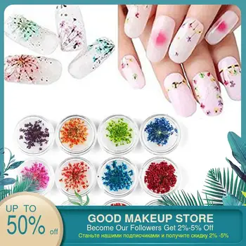 12 Colors/set Nail Art Real Natural Petal Dry Dried Flower for UV Gel 3D Nail Tips Salon Effect Decorations
12 Colors/set Nail Art Real Natural Petal Dry Dried Flower for UV Gel 3D Nail Tips Salon Effect Decorations