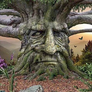 DIY 5D Full Square Diamond Painting Cross Stitch Old Man Tree Mosaic Diamond Embroidery Needlework Patterns Rhinestone Kits
DIY 5D Full Square Diamond Painting Cross Stitch Old Man Tree Mosaic Diamond Embroidery Needlework Patterns Rhinestone Kits