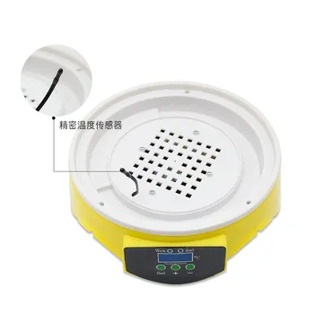 7 eggs incubator bird egg hatching machine semi-automatic micro incubator pigeon household type incubator 
7 eggs incubator bird egg hatching machine semi-automatic micro incubator pigeon household type incubator