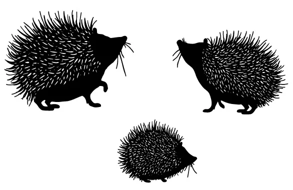 Hedgehog Transparent Clear Stamps for DIY Scrapbooking/Card Making/Kids Christmas Fun Decoration Supplies
Hedgehog Transparent Clear Stamps for DIY Scrapbooking/Card Making/Kids Christmas Fun Decoration Supplies