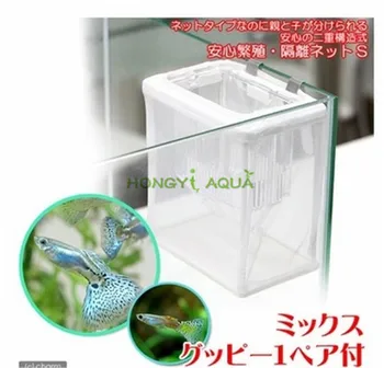 KOTOBUKI Fry breeding box Separation box Guppy Incubation box Hatching isolation box Juvenile fish Fighting fish box
KOTOBUKI Fry breeding box Separation box Guppy Incubation box Hatching isolation box Juvenile fish Fighting fish box