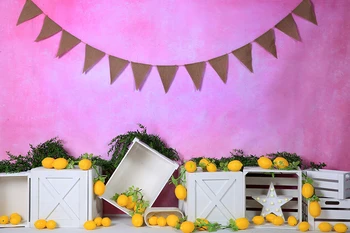 Decoration Photography Background Pink Solid Gradient Baby Newborn Birthday Party Lemon Backdrops Photo Studio Prop W-4396
Decoration Photography Background Pink Solid Gradient Baby Newborn Birthday Party Lemon Backdrops Photo Studio Prop W-4396