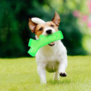 Branch Shape Dog Squeaky Sound Toys Pet Molar Bite Cleaning Teeth Safe Chew Play for Household Animals Dogs Entertainment
Branch Shape Dog Squeaky Sound Toys Pet Molar Bite Cleaning Teeth Safe Chew Play for Household Animals Dogs Entertainment