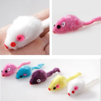 10 pieces of pet cat toys plush mouse toys interactive fake mouse toys cat chew toys pet supplies
10 pieces of pet cat toys plush mouse toys interactive fake mouse toys cat chew toys pet supplies