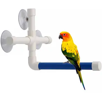 Parrot Stand Pet Birds Shower Perches Toys Bird Bath Standing Platform Rack Wall Suction Cup Parrot Budge Paw Grinding Stand Toy 
Parrot Stand Pet Birds Shower Perches Toys Bird Bath Standing Platform Rack Wall Suction Cup Parrot Budge Paw Grinding Stand Toy