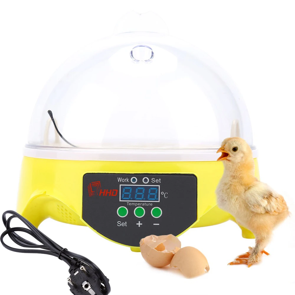 Mini Intelligent 7 Eggs Incubator Turning Temperature Control Kids Children Toy
Mini Intelligent 7 Eggs Incubator Turning Temperature Control Kids Children Toy