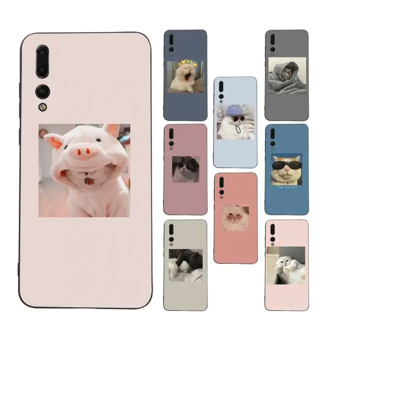 Супермилый чехол Babaite с фотографиями кошек для телефона Huawei Mate 30 Pro P20 P30 P40 pro lite Y7 Y6