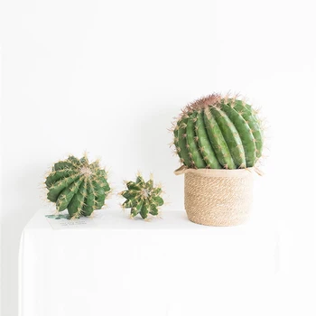 Artificial Green Succulent Plants Faux Cactus Bonsai Plante Artificielle Plant Party Nordic Home Indoor Hotel Garden Decoration 
Artificial Green Succulent Plants Faux Cactus Bonsai Plante Artificielle Plant Party Nordic Home Indoor Hotel Garden Decoration