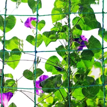 Classic Garden Plants Climbing Net Durable Practical Multi-functional Nylon Flower Vine Netting Support Plant Grow Holder 
Classic Garden Plants Climbing Net Durable Practical Multi-functional Nylon Flower Vine Netting Support Plant Grow Holder