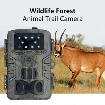 Hunting Trail Camera Wildlife Camera With Night Vision Motion Activated Outdoor Trail Camera Trigger Wildlife Scouting
Hunting Trail Camera Wildlife Camera With Night Vision Motion Activated Outdoor Trail Camera Trigger Wildlife Scouting