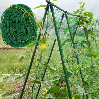 180cm*180cm/180cm*370cm Horticulture Nets Climbing Net Nylon Mesh Scaffolding Net for Fruit Vegetables
180cm*180cm/180cm*370cm Horticulture Nets Climbing Net Nylon Mesh Scaffolding Net for Fruit Vegetables