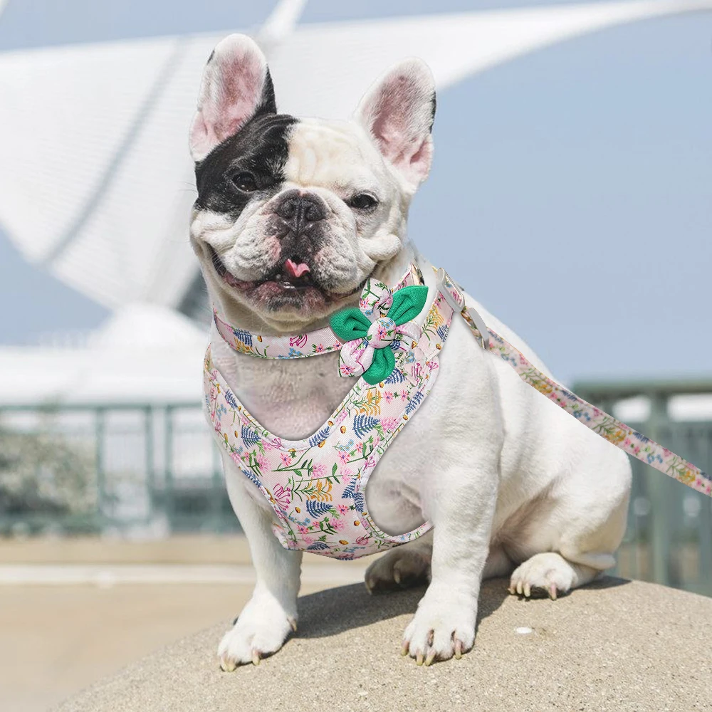 floral harness dog