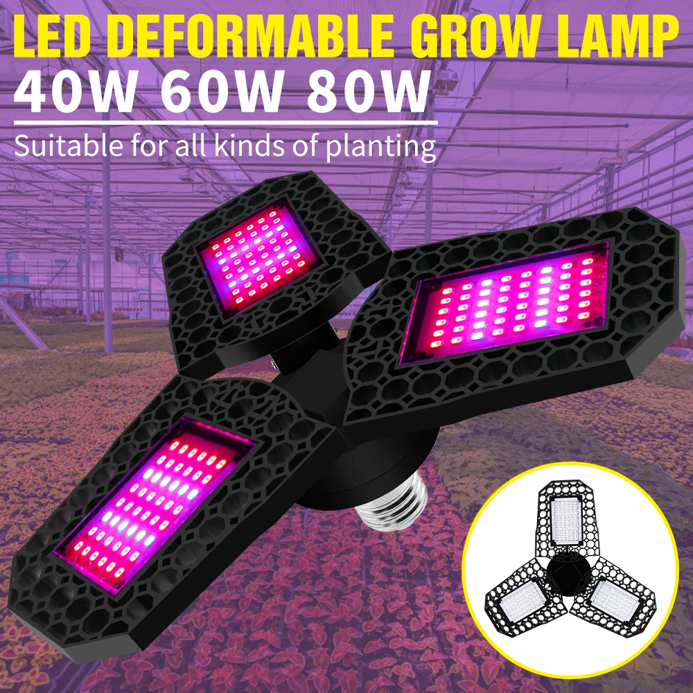 Led Grow Light Bulb E27 Led Full Spectrum 220V Growing Bulb 40W 60W 80W Led Plant Light 110V Greenhouse Flowers Lighting Lampa
Led Grow Light Bulb E27 Led Full Spectrum 220V Growing Bulb 40W 60W 80W Led Plant Light 110V Greenhouse Flowers Lighting Lampa