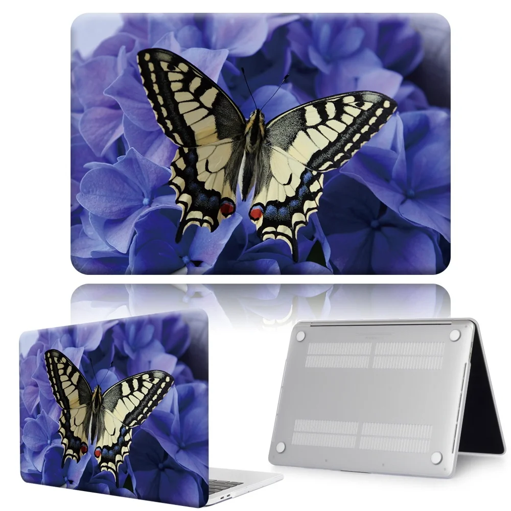 Z 008+butterfly06