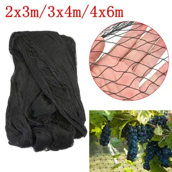 Grid Farm Garden Transparent Polyethylene Anti-bird Net Balcony Fruit Tree Safety Protect Pond Crops Plant Cover Mesh
Grid Farm Garden Transparent Polyethylene Anti-bird Net Balcony Fruit Tree Safety Protect Pond Crops Plant Cover Mesh