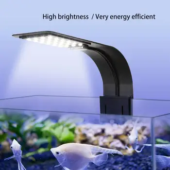 LED Aquarium Light Plants Grow Lighting Clip-On Lamp With EU Plug Fish Aquatic Pet Supplies(White Light)
LED Aquarium Light Plants Grow Lighting Clip-On Lamp With EU Plug Fish Aquatic Pet Supplies(White Light)