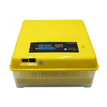 Home Version Incubation Broodr Newest Best Farm Hatchery Machine Mini 56Eggs Incubator High Quality Cheap Price For Sale
Home Version Incubation Broodr Newest Best Farm Hatchery Machine Mini 56Eggs Incubator High Quality Cheap Price For Sale