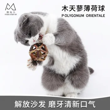 SOURCE Cat Toy ling long qiu mu tian liao Rod Catnip Cat Molar Toy Self Hi Bite Lollipop
SOURCE Cat Toy ling long qiu mu tian liao Rod Catnip Cat Molar Toy Self Hi Bite Lollipop