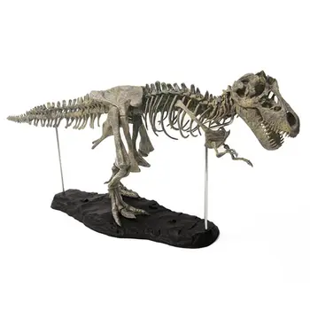 Drop Ship T Rex Tyrannosaurus Rex Skeleton Dinosaur Toy Animal Model Collector Super Decor
Drop Ship T Rex Tyrannosaurus Rex Skeleton Dinosaur Toy Animal Model Collector Super Decor
