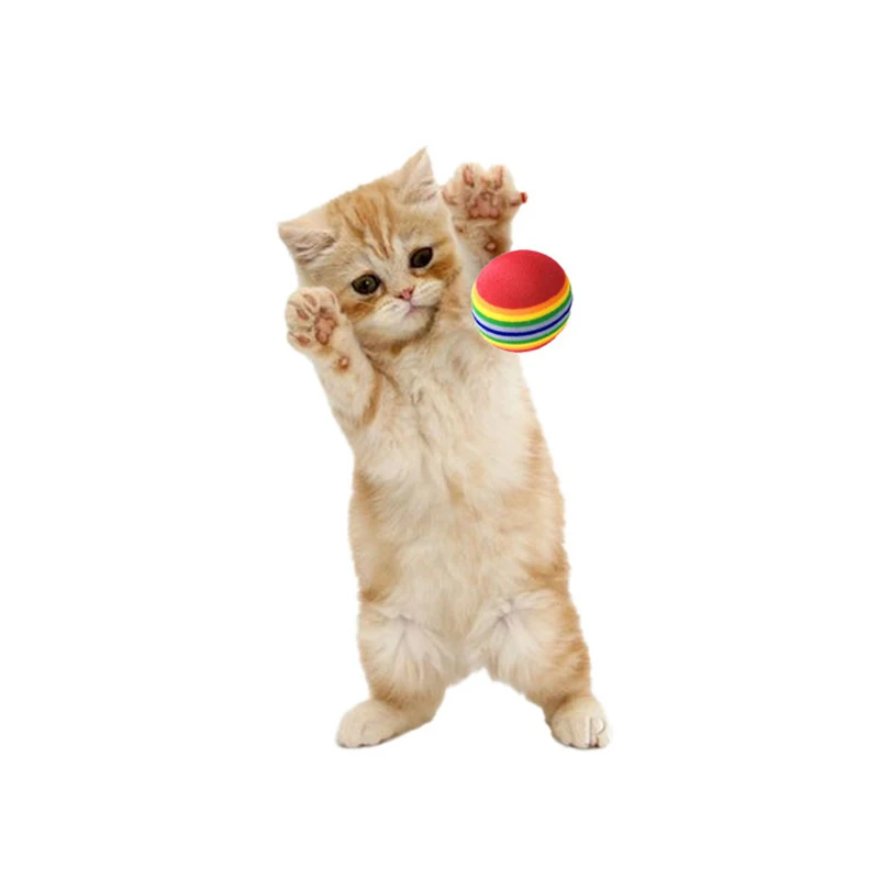 S/M/L Ball Cat Toy Colorful Ball Interactive Pet Cat Toys Scratch Natural Foam EVA Ball Training Pet Supplies Product