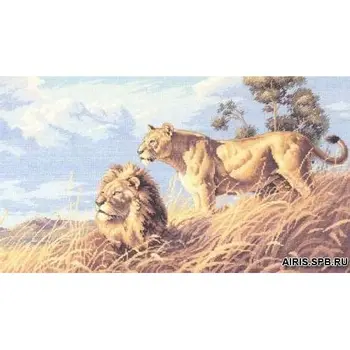 "Embroidery kit", "floss embroidery kit", "cross stitch", "counted cross", "Dimensions", "counted cross stitching"
"Embroidery kit", "floss embroidery kit", "cross stitch", "counted cross", "Dimensions", "counted cross stitching"