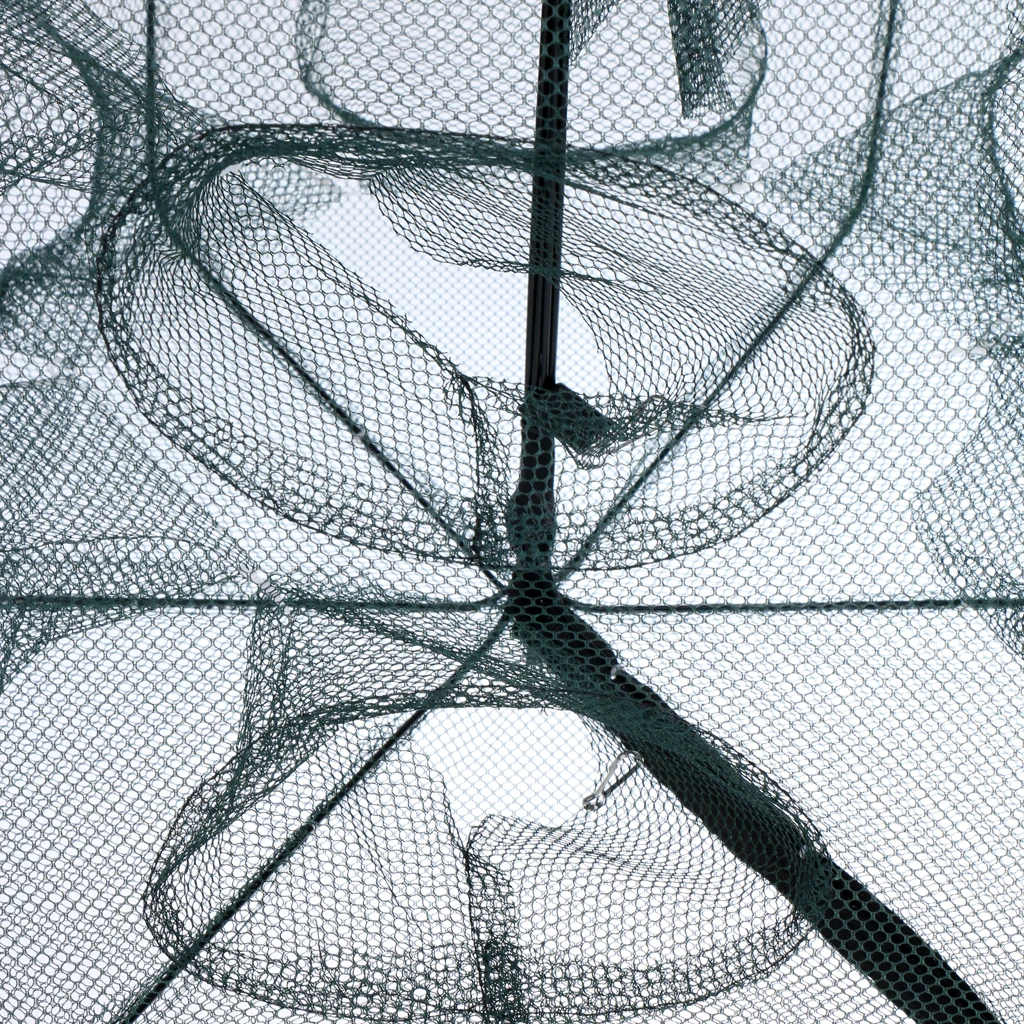 Foldable Fishing Ne Fish Net Crawfish Crawdad Shrimp Minnow Fishing Net Trap Dip Cage 6 / 12 Holes for Fisherman Foldable Fishing Ne Fish Net Crawfish Crawdad Shrimp Minnow Fishing Net Trap Dip Cage 6 / 12 Holes for Fisherman