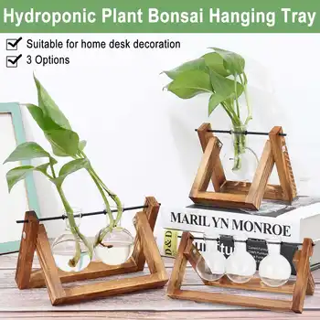 Glass and Wood Vase Planter Terrarium Table Desktop Hydroponics Plant Bonsai Flower Pot Hanging Pots with Wooden Tray Home Decor
Glass and Wood Vase Planter Terrarium Table Desktop Hydroponics Plant Bonsai Flower Pot Hanging Pots with Wooden Tray Home Decor