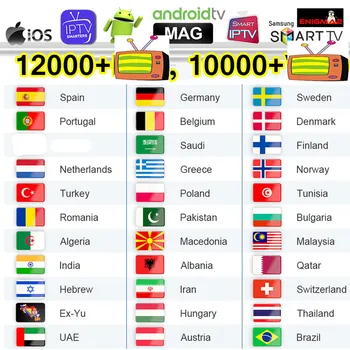 IPTV Sweden Spain Portugal Albania Germany IPTV m3u smart Android IPTV Poland Dutch Czech Greek No APP or Included 
IPTV Sweden Spain Portugal Albania Germany IPTV m3u smart Android IPTV Poland Dutch Czech Greek No APP or Included