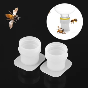 2PCS Drinking Fountain Bee Feeding Water Automatic Drink Input Feeder Multi-function Easy Installation and Operate Beekeeping
2PCS Drinking Fountain Bee Feeding Water Automatic Drink Input Feeder Multi-function Easy Installation and Operate Beekeeping