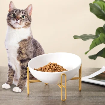 Ceramic Tilted Elevated Raised Pet Bowl with metal Stand for Cats and Dogs No Spill Pet Food Water Feeder
Ceramic Tilted Elevated Raised Pet Bowl with metal Stand for Cats and Dogs No Spill Pet Food Water Feeder