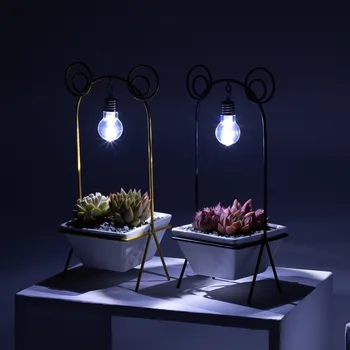 Simple Abstract Frog Shape Iron Decorative Light Bulb Ceramic Fleshy Flower Pot Combination Iron Frame Flower Pot without Plants
Simple Abstract Frog Shape Iron Decorative Light Bulb Ceramic Fleshy Flower Pot Combination Iron Frame Flower Pot without Plants