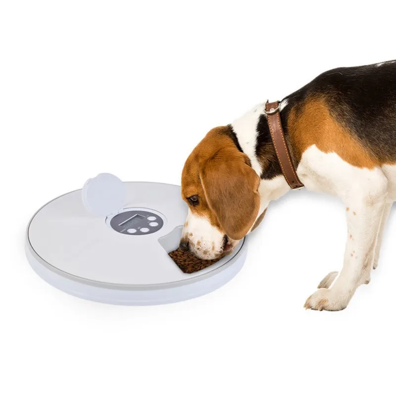 Digital Timer Automatic Round Pet Feeder, 6 Meal Food Dispenser For Dogs And Cats Automatic Timing Feeder For Pets
Digital Timer Automatic Round Pet Feeder, 6 Meal Food Dispenser For Dogs And Cats Automatic Timing Feeder For Pets