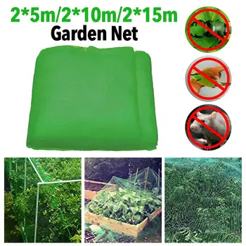 Garden Net Soft Elastic Vegetable Flowers Fine Mesh Protective Net Insect Protection Net Protection Against Insects and Birds
Garden Net Soft Elastic Vegetable Flowers Fine Mesh Protective Net Insect Protection Net Protection Against Insects and Birds
