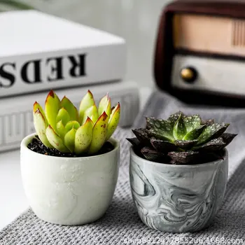 6 Pcs Marble Grain Flower Pot Cylinder Succulent Pot Colored Ceramic Decorations Plants Succulent Potted Holder for Home Garden
6 Pcs Marble Grain Flower Pot Cylinder Succulent Pot Colored Ceramic Decorations Plants Succulent Potted Holder for Home Garden