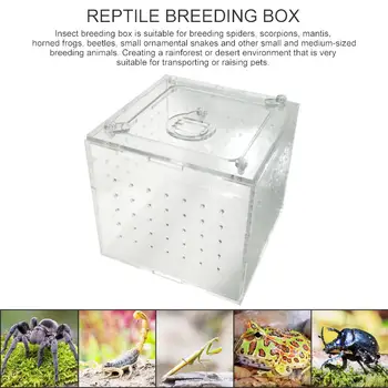 Acrylic Transparent Reptile Feeding Box Insect Box Praying Mantis Reptile Home Insect Cage Reptile Terrarium Mantis Breeding Box
Acrylic Transparent Reptile Feeding Box Insect Box Praying Mantis Reptile Home Insect Cage Reptile Terrarium Mantis Breeding Box