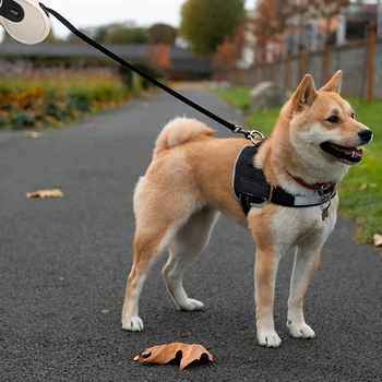 8M Premium Durable Dog Leash Automatic Retractable Dog Leash Large Dog Lead Extending Walking Leads Traction Rope Belt Pet Leash
8M Premium Durable Dog Leash Automatic Retractable Dog Leash Large Dog Lead Extending Walking Leads Traction Rope Belt Pet Leash