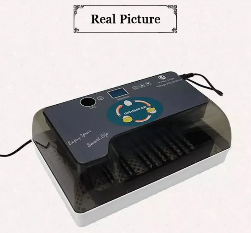Newest Farm Hatchery Incubator Brooder Machine 4-35 Egg Hatchers Cheap Price Chicken Automatic Eggs Incubator Bird Quail Brooder Newest Farm Hatchery Incubator Brooder Machine 4-35 Egg Hatchers Cheap Price Chicken Automatic Eggs Incubator Bird Quail Brooder