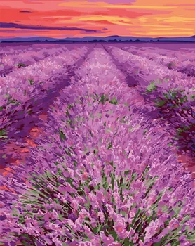 Unframe diy picture oil painting by numbers paint by number for home decor canvas painting 5065cm lavender 
Unframe diy picture oil painting by numbers paint by number for home decor canvas painting 5065cm lavender